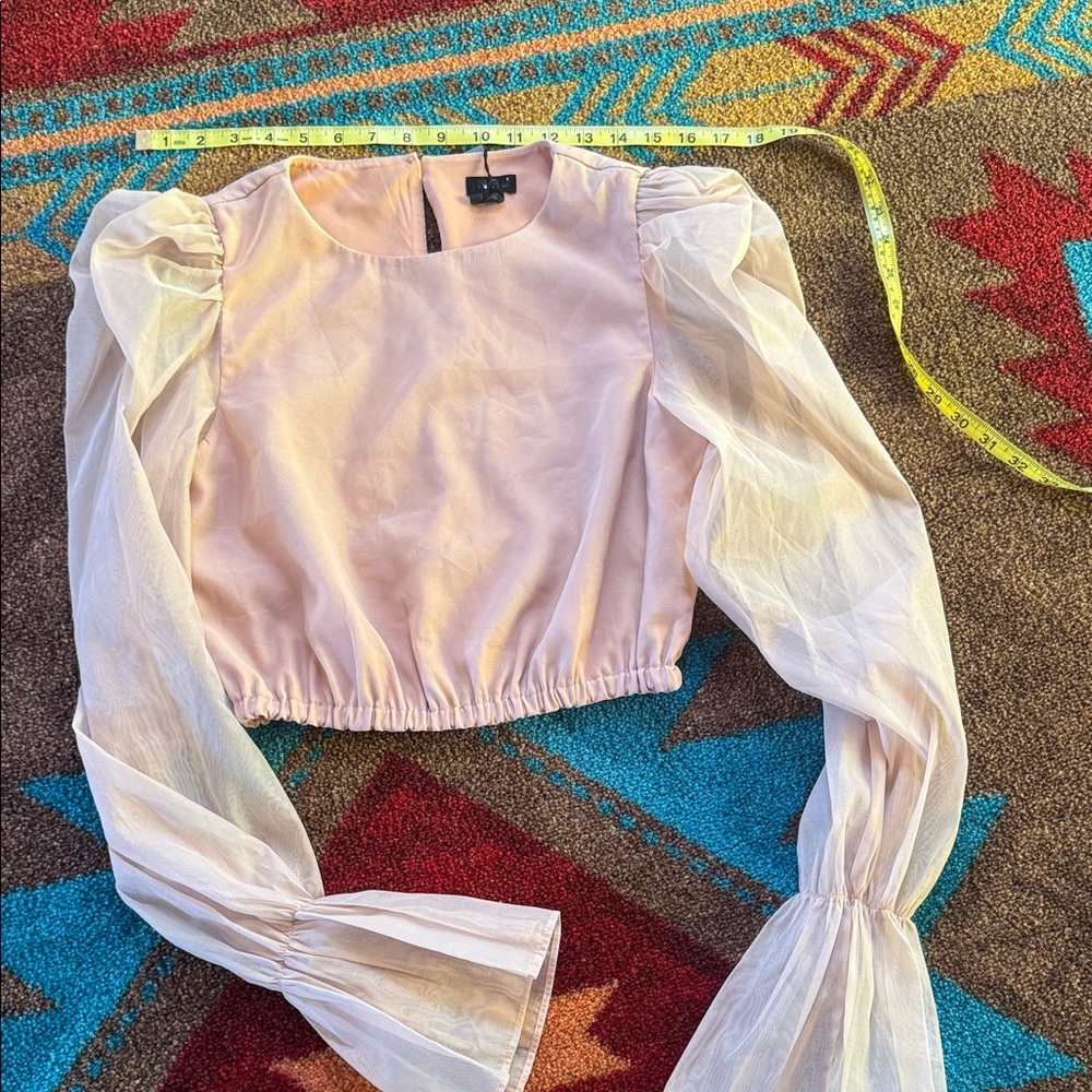 NBD Blush Sheer Sleeve Blouse